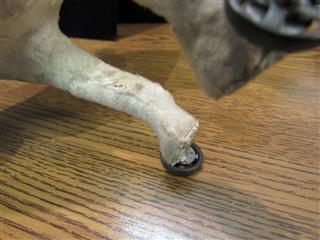RARE ANTIQUE LATE 1800'S MOLDED CARDBOARD SPOTTED DOG W/GLASS EYES ON WHEELS